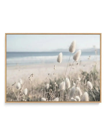 Framed canvas art print featuring soft-focus coastal landscape photography. Delicate white fluffy grass seedheads in sharp focus in foreground, with blurred sandy beach, gentle waves, and misty ocean horizon in background. Warm, muted color palette of cream, pale green, soft blue, and gray tones creating serene, ethereal mood. Natural wood-toned frame with clean edges surrounding the artwork.