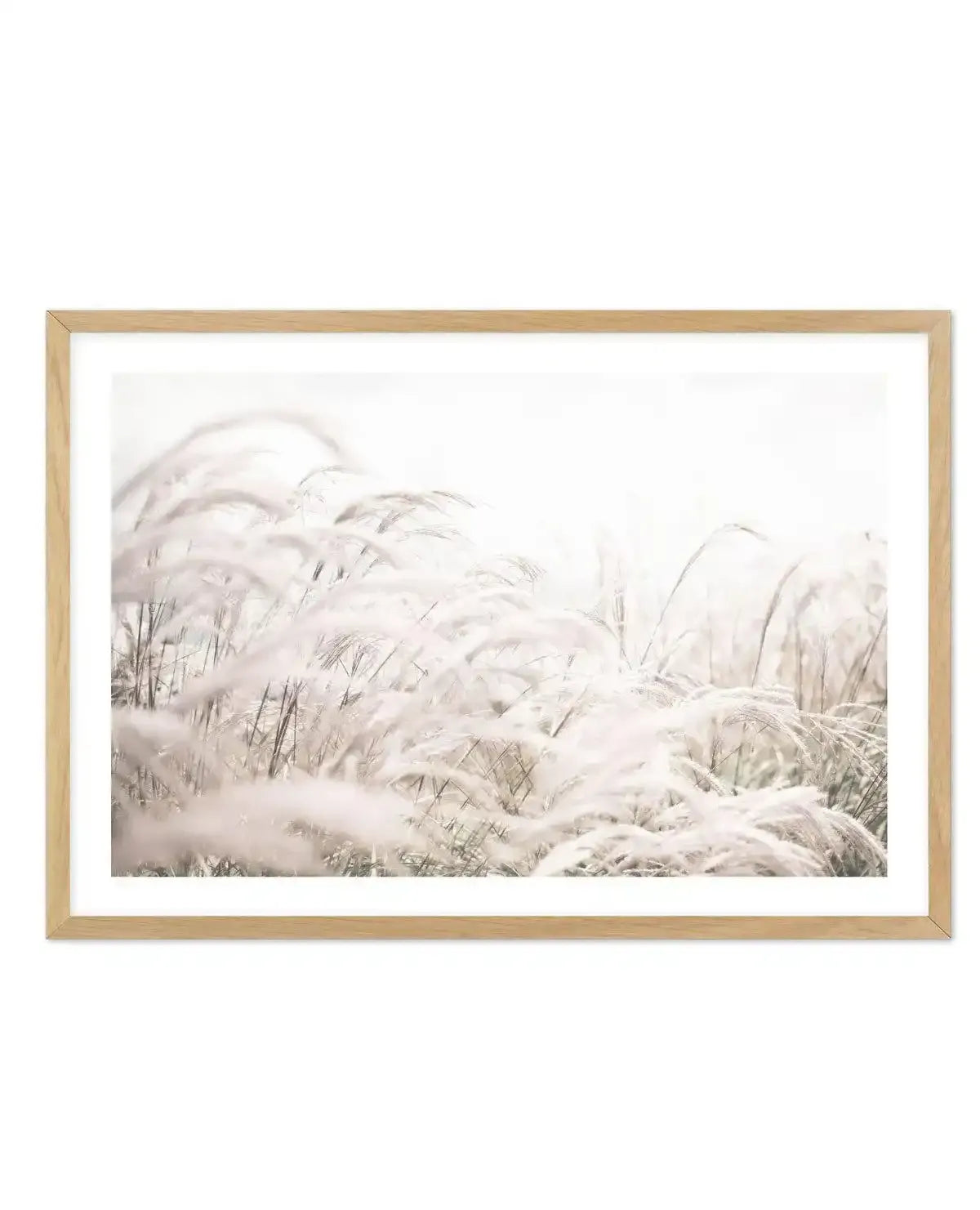 Seaside Pampas | LS Art Print-PRINT-Olive et Oriel-Olive et Oriel-A4 | 8.3" x 11.7" | 21 x 29.7cm-Oak-With White Border-Buy-Australian-Art-Prints-Online-with-Olive-et-Oriel-Your-Artwork-Specialists-Austrailia-Decorate-With-Coastal-Photo-Wall-Art-Prints-From-Our-Beach-House-Artwork-Collection-Fine-Poster-and-Framed-Artwork