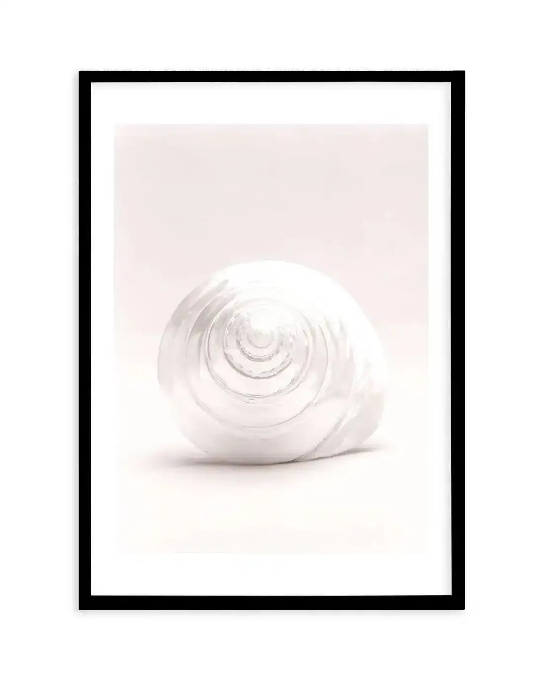Shell I Art Print-PRINT-Olive et Oriel-Olive et Oriel-A5 | 5.8" x 8.3" | 14.8 x 21cm-Black-With White Border-Buy-Australian-Art-Prints-Online-with-Olive-et-Oriel-Your-Artwork-Specialists-Austrailia-Decorate-With-Coastal-Photo-Wall-Art-Prints-From-Our-Beach-House-Artwork-Collection-Fine-Poster-and-Framed-Artwork