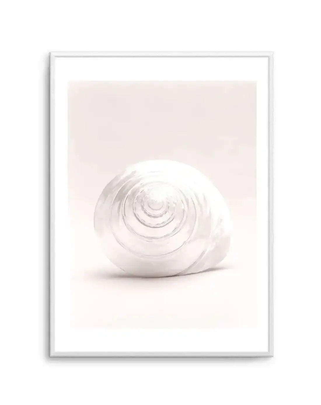 Shell I Art Print-PRINT-Olive et Oriel-Olive et Oriel-A5 | 5.8" x 8.3" | 14.8 x 21cm-Unframed Art Print-With White Border-Buy-Australian-Art-Prints-Online-with-Olive-et-Oriel-Your-Artwork-Specialists-Austrailia-Decorate-With-Coastal-Photo-Wall-Art-Prints-From-Our-Beach-House-Artwork-Collection-Fine-Poster-and-Framed-Artwork