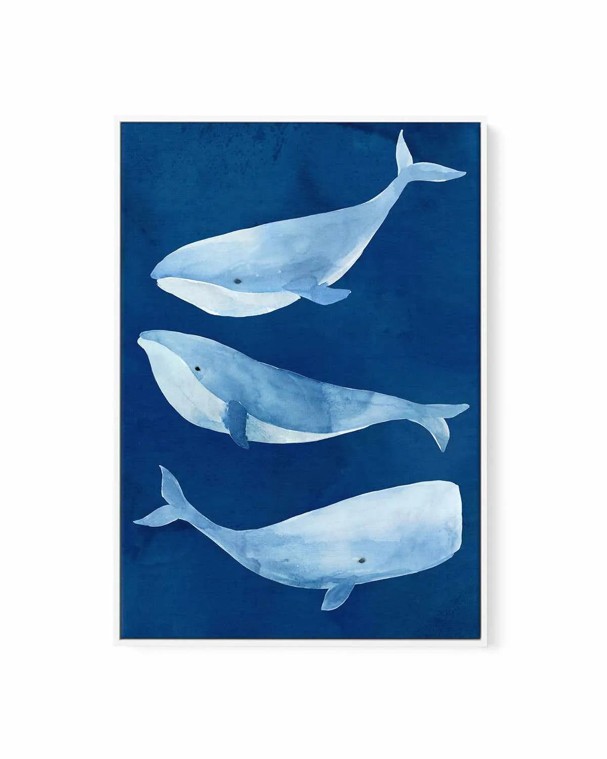 Silent Depth I | Framed Canvas Art Print from Olive et Oriel where you can shop wallpaper and artworks online