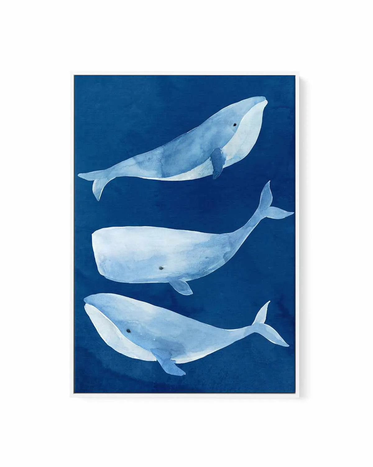 Silent Depth II | Framed Canvas Art Print from Olive et Oriel where you can shop wallpaper and artworks online