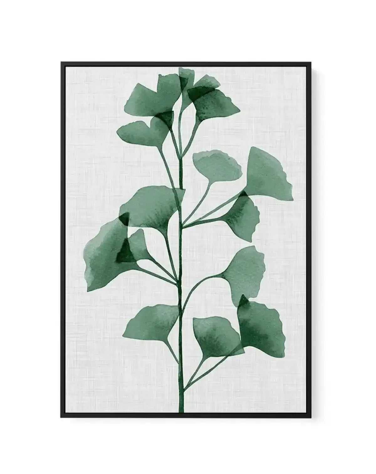 Simple Leaf Green II | Framed Canvas-CANVAS-You can shop wall art online with Olive et Oriel for everything from abstract art to fun kids wall art. Our beautiful modern art prints and canvas art are available from large canvas prints to wall art paintings and our proudly Australian artwork collection offers only the highest quality framed large wall art and canvas art Australia - You can buy fashion photography prints or Hampton print posters and paintings on canvas from Olive et Oriel and have 