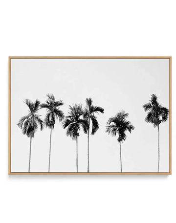 Framed canvas art print featuring six tall palm trees with thin gray trunks and dark black fronds against a light gray background. The minimalist black and white illustration has a calm, botanical aesthetic. The canvas is mounted in a natural wood frame with a white border, displayed horizontally in landscape orientation.