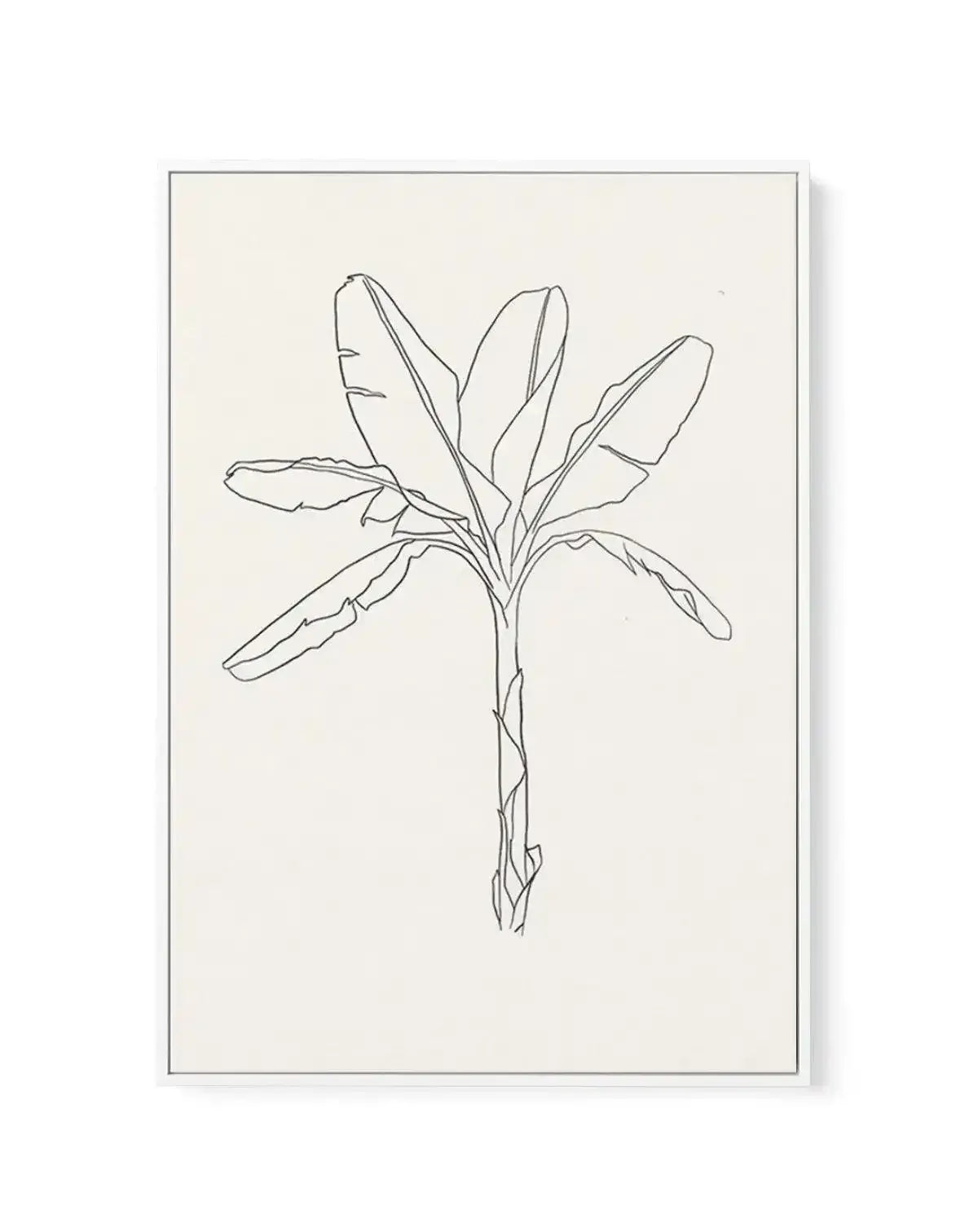 Sketched Palm I | Framed Canvas-CANVAS-You can shop wall art online with Olive et Oriel for everything from abstract art to fun kids wall art. Our beautiful modern art prints and canvas art are available from large canvas prints to wall art paintings and our proudly Australian artwork collection offers only the highest quality framed large wall art and canvas art Australia - You can buy fashion photography prints or Hampton print posters and paintings on canvas from Olive et Oriel and have them 