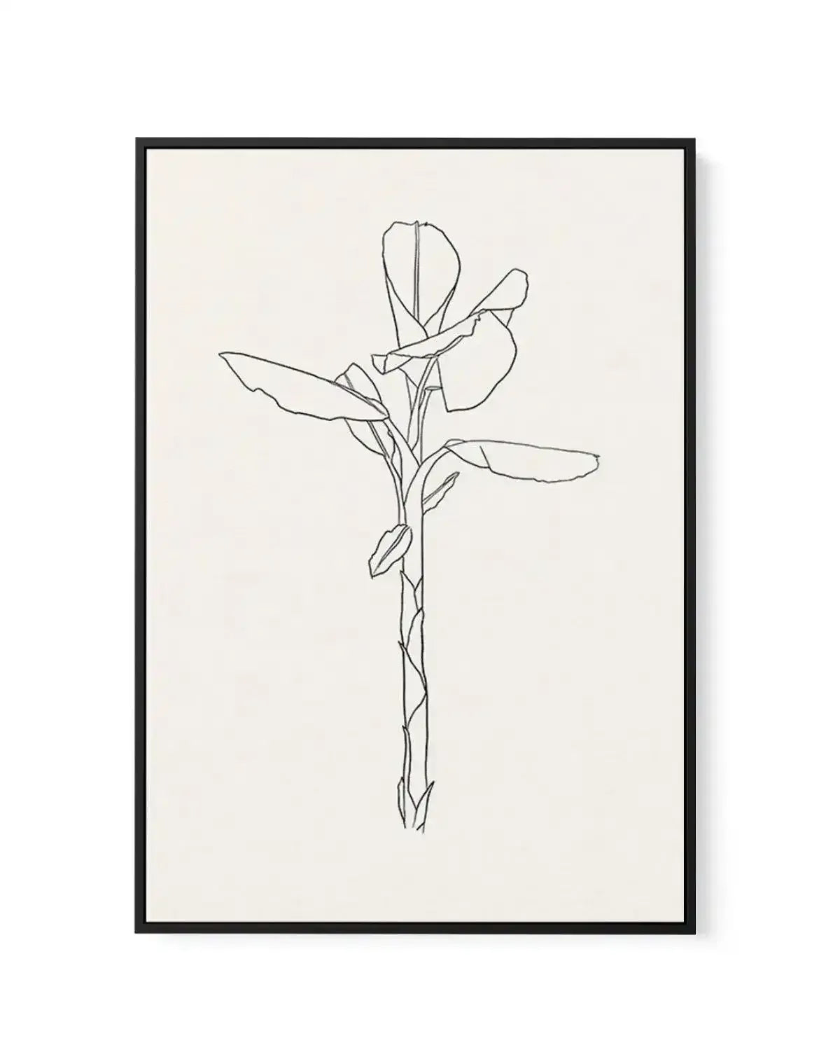 Sketched Palm II | Framed Canvas-CANVAS-You can shop wall art online with Olive et Oriel for everything from abstract art to fun kids wall art. Our beautiful modern art prints and canvas art are available from large canvas prints to wall art paintings and our proudly Australian artwork collection offers only the highest quality framed large wall art and canvas art Australia - You can buy fashion photography prints or Hampton print posters and paintings on canvas from Olive et Oriel and have them