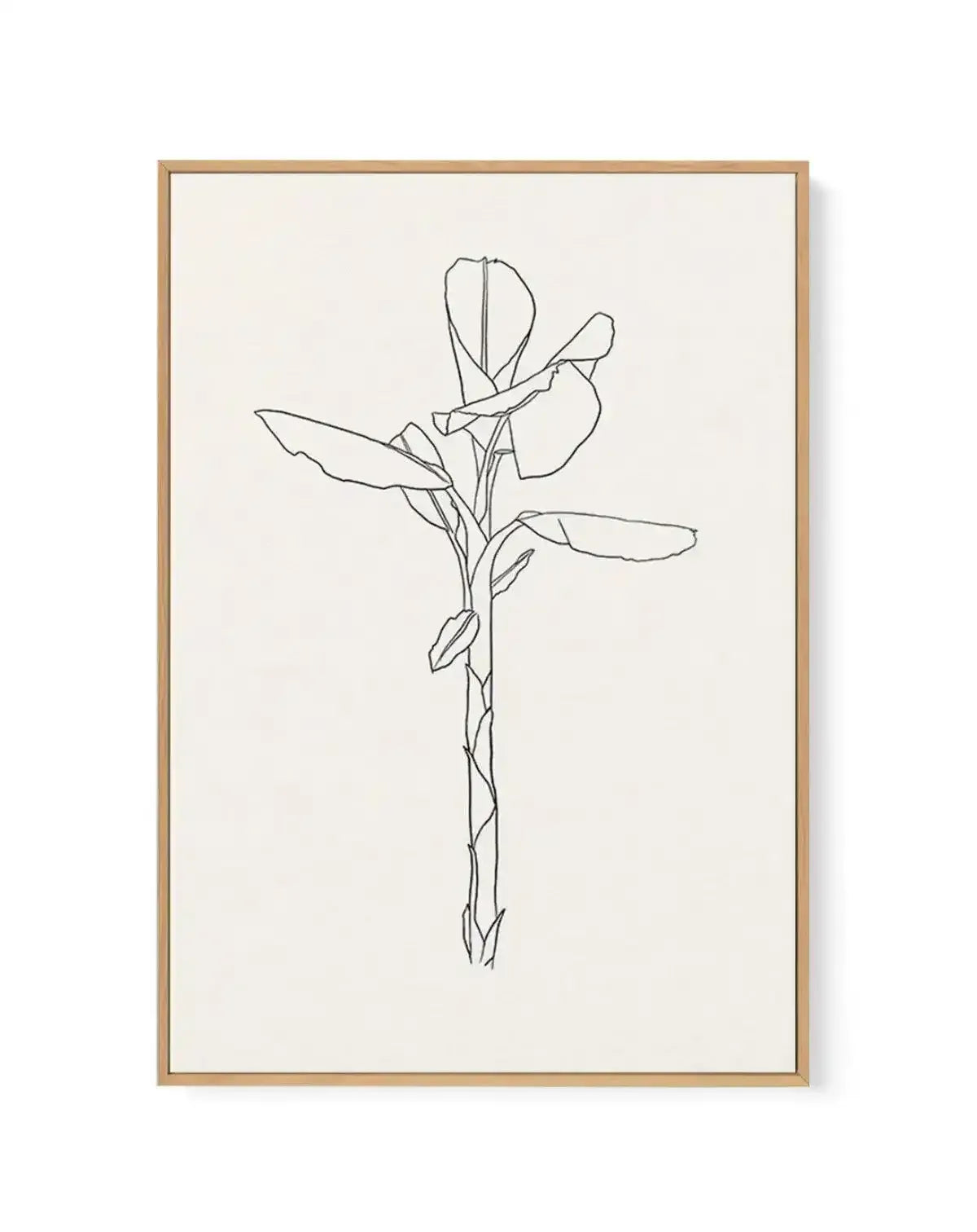 Sketched Palm II | Framed Canvas-CANVAS-You can shop wall art online with Olive et Oriel for everything from abstract art to fun kids wall art. Our beautiful modern art prints and canvas art are available from large canvas prints to wall art paintings and our proudly Australian artwork collection offers only the highest quality framed large wall art and canvas art Australia - You can buy fashion photography prints or Hampton print posters and paintings on canvas from Olive et Oriel and have them