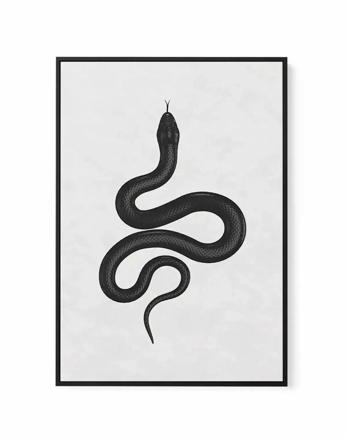 Sleek | Framed Canvas-CANVAS-You can shop wall art online with Olive et Oriel for everything from abstract art to fun kids wall art. Our beautiful modern art prints and canvas art are available from large canvas prints to wall art paintings and our proudly Australian artwork collection offers only the highest quality framed large wall art and canvas art Australia - You can buy fashion photography prints or Hampton print posters and paintings on canvas from Olive et Oriel and have them delivered 