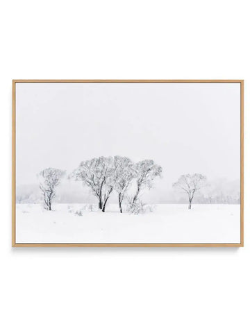 Snowy Gumtrees, Kosciuszko | Framed Canvas Art Print art print