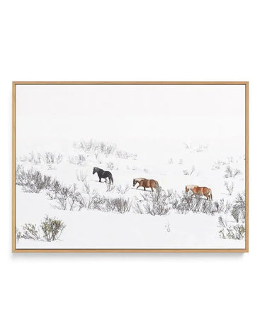 Framed canvas art print featuring three horses moving through a snowy mountain landscape with scattered sage brush. One black horse leads on the left, followed by two brown horses in the center and right. The scene has a minimalist composition with a predominantly white snowy background, muted gray-green vegetation, and soft, naturalistic tones. The canvas is mounted in a natural wood frame with a white border.