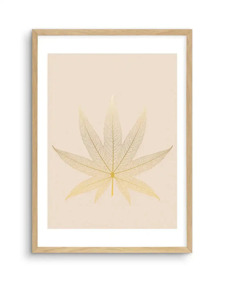 Art print featuring a delicate, translucent skeleton leaf in a golden-yellow hue, resembling a cannabis or maple leaf, against a soft, pale peach background. The intricate vein structure of the leaf is clearly visible, creating a fine, lace-like texture. The print is displayed in a natural oak frame with a white border.