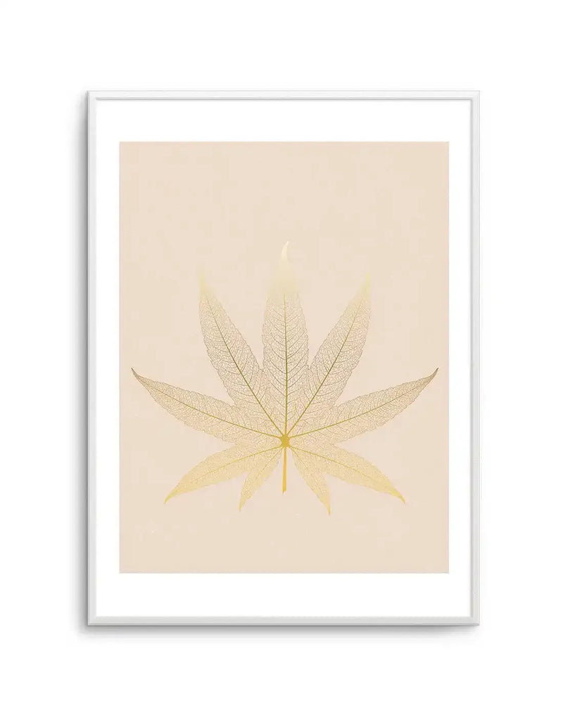 Framed art print featuring a delicate botanical illustration of a maple leaf with nine pointed lobes in soft yellow and tan tones against a warm cream background. The leaf displays intricate vein detailing throughout. White wooden frame with white border surrounding the artwork.