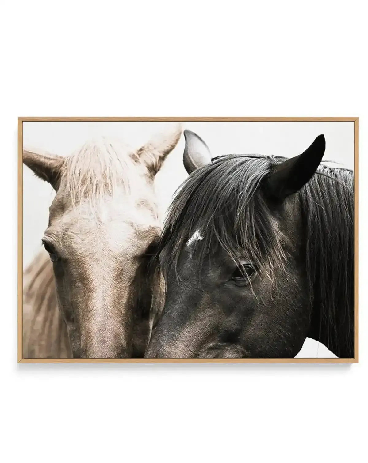 Soulmates | Horses | Framed Canvas-CANVAS-You can shop wall art online with Olive et Oriel for everything from abstract art to fun kids wall art. Our beautiful modern art prints and canvas art are available from large canvas prints to wall art paintings and our proudly Australian artwork collection offers only the highest quality framed large wall art and canvas art Australia - You can buy fashion photography prints or Hampton print posters and paintings on canvas from Olive et Oriel and have th