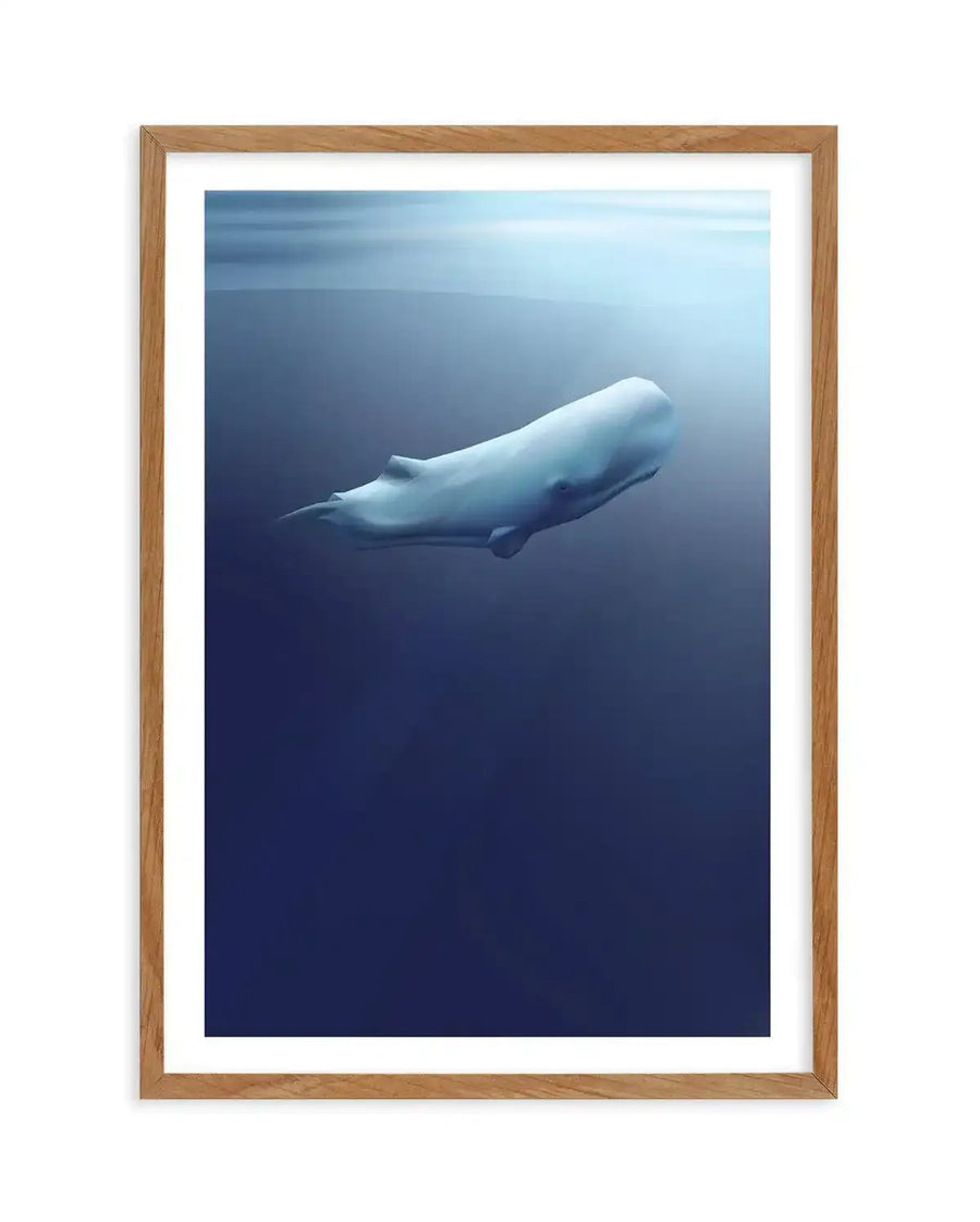 Framed art print of a sperm whale rendered in soft, realistic illustration style. The whale appears pale blue-white against a deep ocean backdrop that transitions from lighter blue-grey at the top to dark navy blue at the bottom. The whale is positioned in the upper-center area, angled slightly downward, with detailed anatomical features visible including its distinctive large head and flippers. The print is displayed in a natural wood frame with a white border surrounding the artwork.