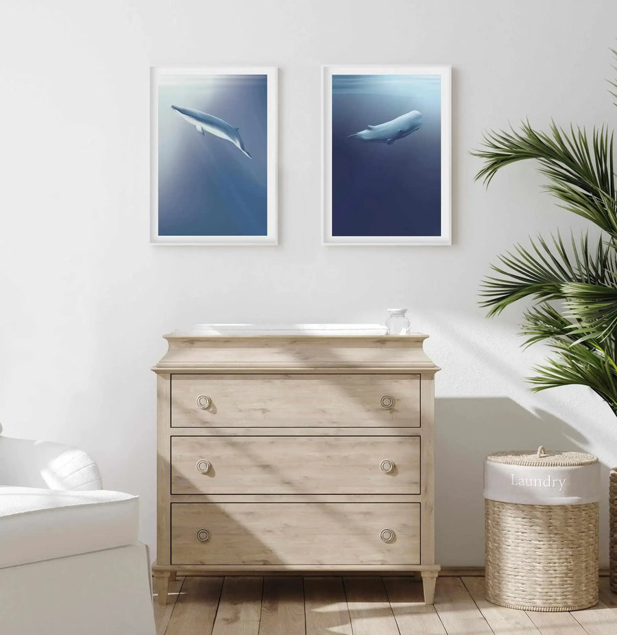 Framed art print displayed above a light wood dresser in a bright, minimalist bathroom. The print shows a sperm whale photographed underwater against a deep blue gradient background, rendered in soft, naturalistic tones. White frame with white border. Part of a paired collection with a second whale print hanging to the right. Warm natural light streams across the scene, illuminating a potted palm plant, white ceramic accessories, and a woven laundry basket on the right side.