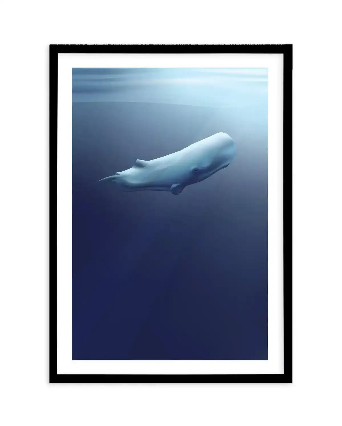 Sperm Whale | Graphic Whales Collection Art Print-PRINT-Olive et Oriel-Olive et Oriel-A5 | 5.8" x 8.3" | 14.8 x 21cm-Black-With White Border-Buy-Australian-Art-Prints-Online-with-Olive-et-Oriel-Your-Artwork-Specialists-Austrailia-Decorate-With-Coastal-Photo-Wall-Art-Prints-From-Our-Beach-House-Artwork-Collection-Fine-Poster-and-Framed-Artwork