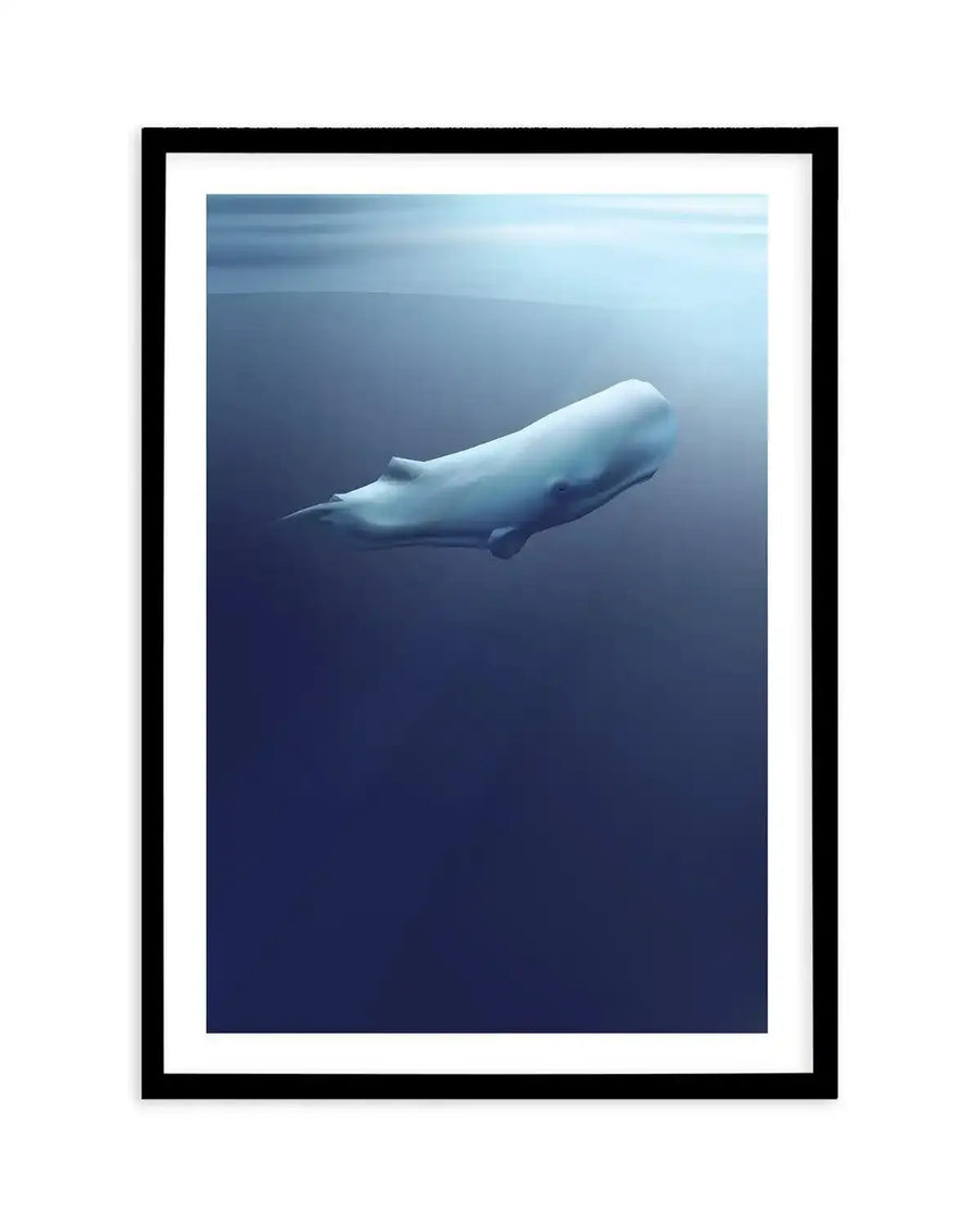 Framed art print of a sperm whale rendered in soft, realistic illustration style. The whale is depicted in profile, swimming diagonally through deep ocean water with its pale gray-white body contrasting against a gradient background that transitions from light blue-gray at the top to dark navy blue at the bottom. The composition conveys depth and creates a serene, contemplative mood. The artwork is displayed in a black frame with a white border.
