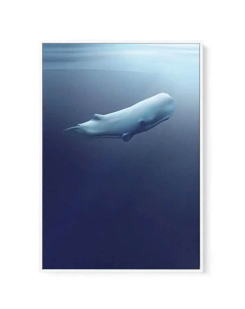 Sperm Whale | Graphic Whales Collection | Framed Canvas Art Print blue nature art print