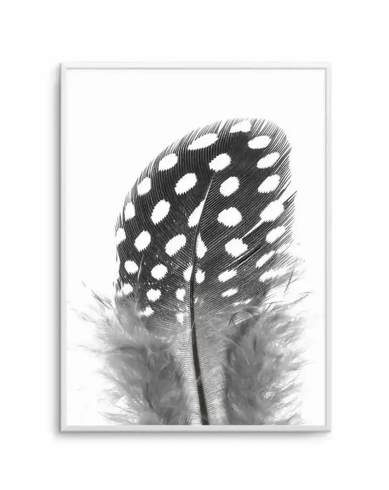Black and white sketch-style art print featuring a single feather with white polka dots arranged in rows across the dark feathered surface. The feather is depicted with fine line detailing and cross-hatching creating dimensional shading. Wispy barbs extend from the central shaft at the bottom. Mounted in a light gray frame with white border against a white background.