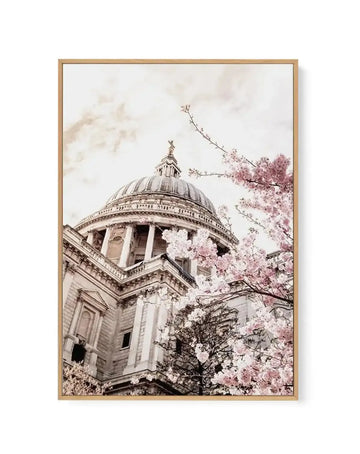 Framed canvas art print featuring St Paul's Cathedral in London photographed from a low angle. The iconic dome and classical columns are rendered in warm sepia and cream tones. Blooming cherry blossom branches with delicate pink and white flowers frame the right side of the composition, creating a soft, romantic contrast against the architectural details. The sky appears overcast and pale. The canvas is mounted in a natural wood frame with a white border.