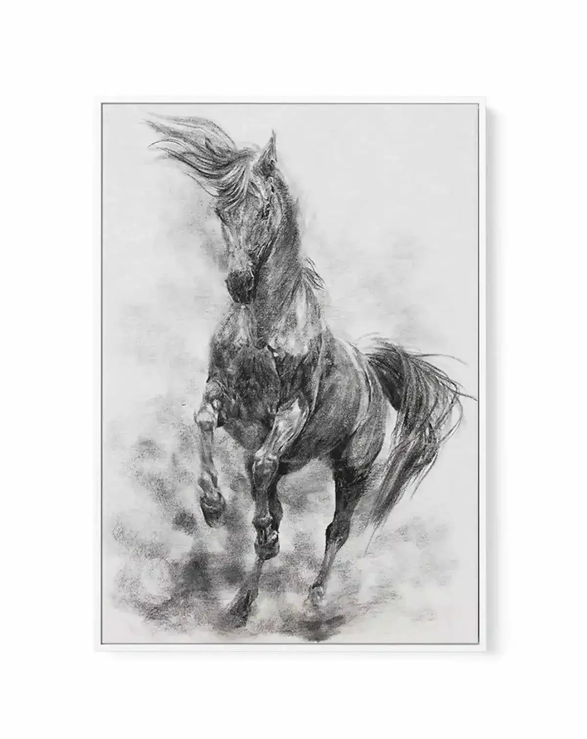 Stallion in Charcoal | Framed Canvas-CANVAS-You can shop wall art online with Olive et Oriel for everything from abstract art to fun kids wall art. Our beautiful modern art prints and canvas art are available from large canvas prints to wall art paintings and our proudly Australian artwork collection offers only the highest quality framed large wall art and canvas art Australia - You can buy fashion photography prints or Hampton print posters and paintings on canvas from Olive et Oriel and have 