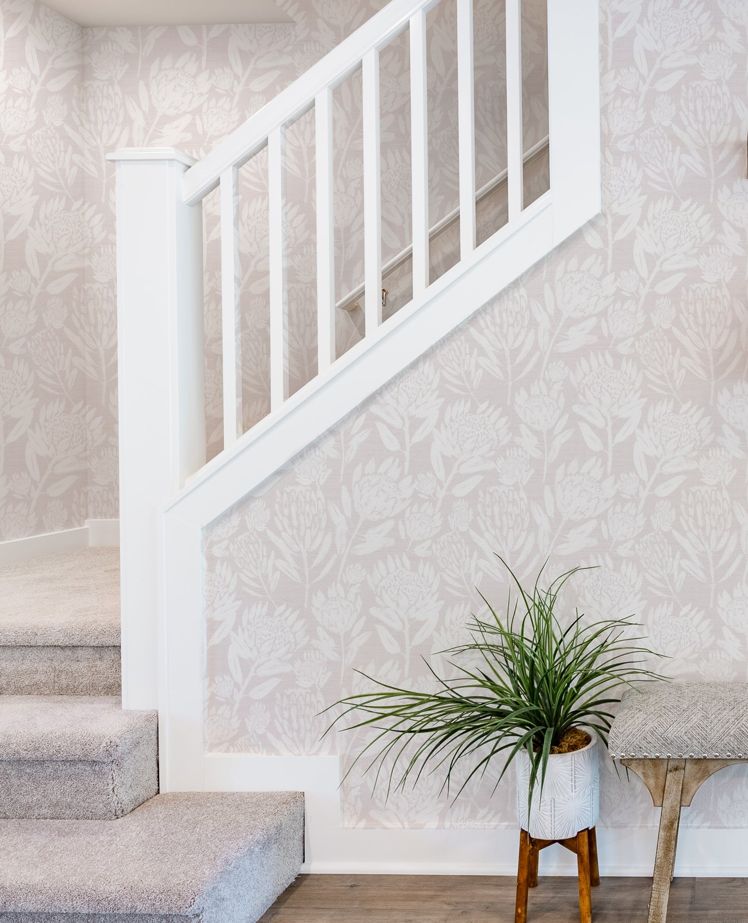 Protea in Bloom in Soft Pink Wallpaper