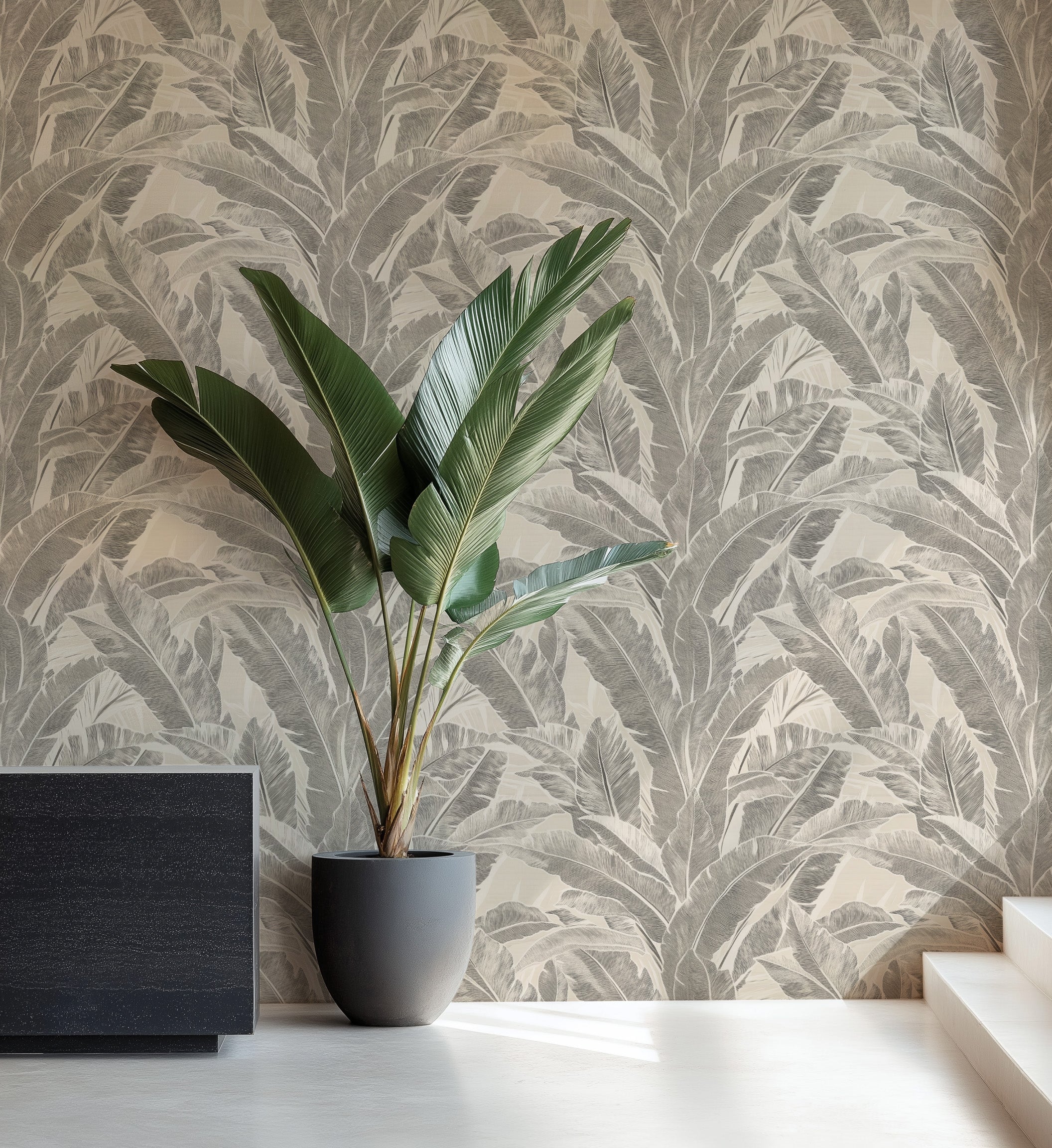 Maui in Charcoal on Cream Commercial Vinyl Wallcovering