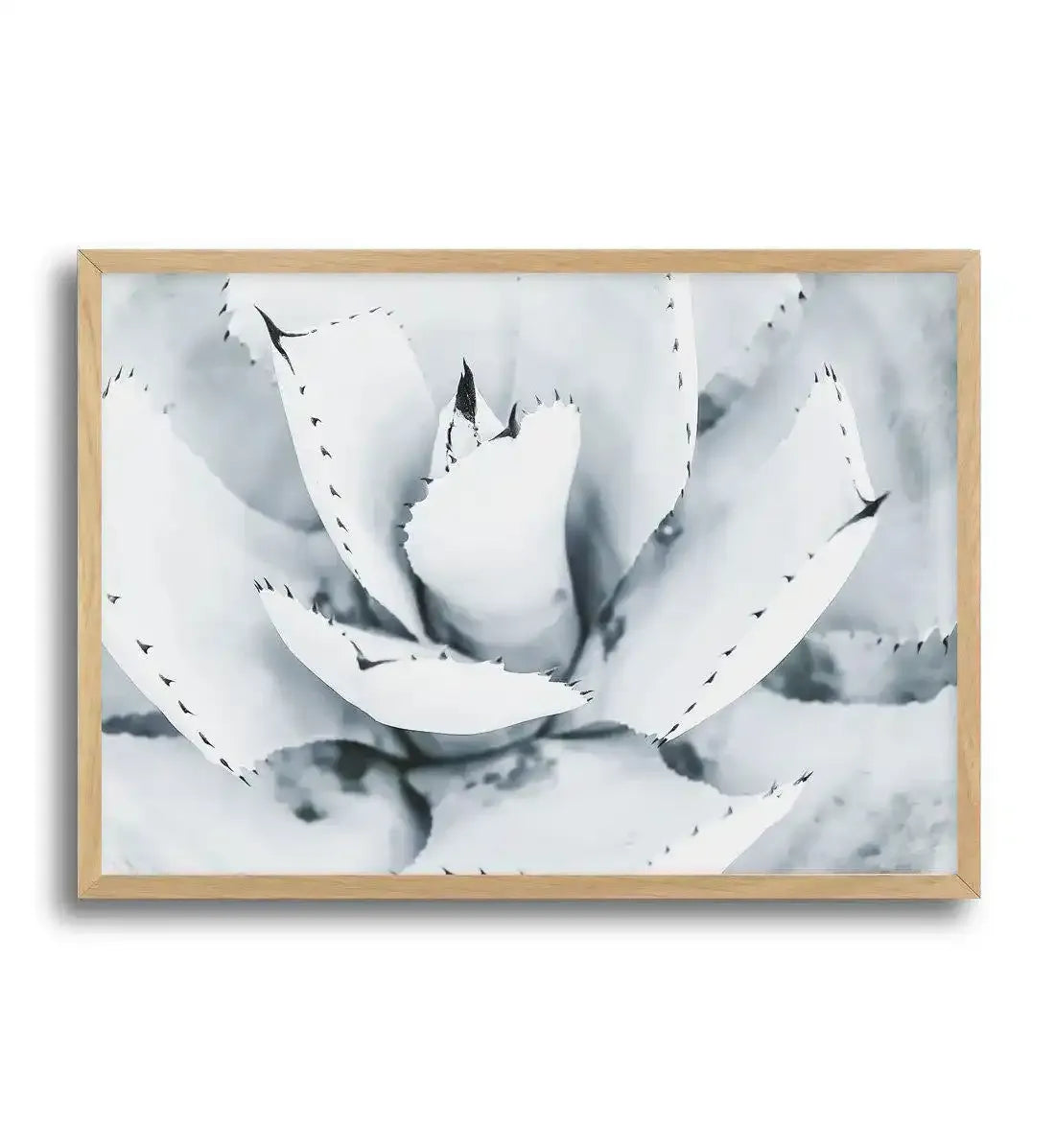 Succulent B&W Art Print-PRINT-Olive et Oriel-Olive et Oriel-A5 | 5.8" x 8.3" | 14.8 x 21cm-Oak-With White Border-Buy-Australian-Art-Prints-Online-with-Olive-et-Oriel-Your-Artwork-Specialists-Austrailia-Decorate-With-Coastal-Photo-Wall-Art-Prints-From-Our-Beach-House-Artwork-Collection-Fine-Poster-and-Framed-Artwork