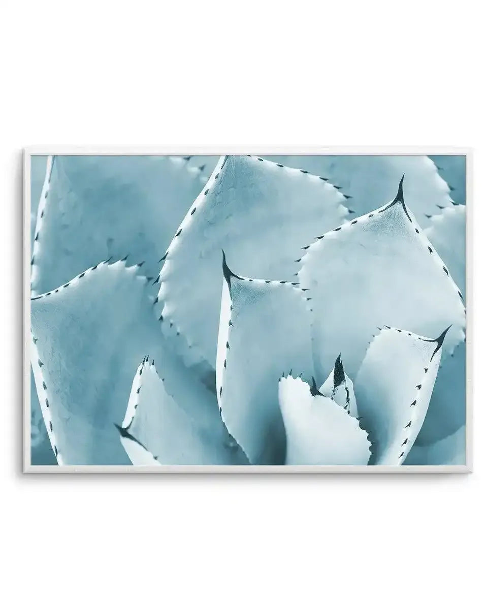 Succulent | LS Art Print-PRINT-Olive et Oriel-Olive et Oriel-A5 | 5.8" x 8.3" | 14.8 x 21cm-Unframed Art Print-With White Border-Buy-Australian-Art-Prints-Online-with-Olive-et-Oriel-Your-Artwork-Specialists-Austrailia-Decorate-With-Coastal-Photo-Wall-Art-Prints-From-Our-Beach-House-Artwork-Collection-Fine-Poster-and-Framed-Artwork