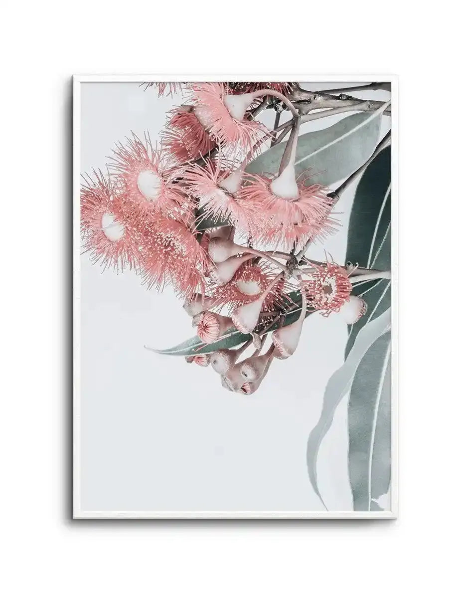 Summer Eucalyptus Art Print-PRINT-Olive et Oriel-Olive et Oriel-A5 | 5.8" x 8.3" | 14.8 x 21cm-Unframed Art Print-With White Border-Buy-Australian-Art-Prints-Online-with-Olive-et-Oriel-Your-Artwork-Specialists-Austrailia-Decorate-With-Coastal-Photo-Wall-Art-Prints-From-Our-Beach-House-Artwork-Collection-Fine-Poster-and-Framed-Artwork