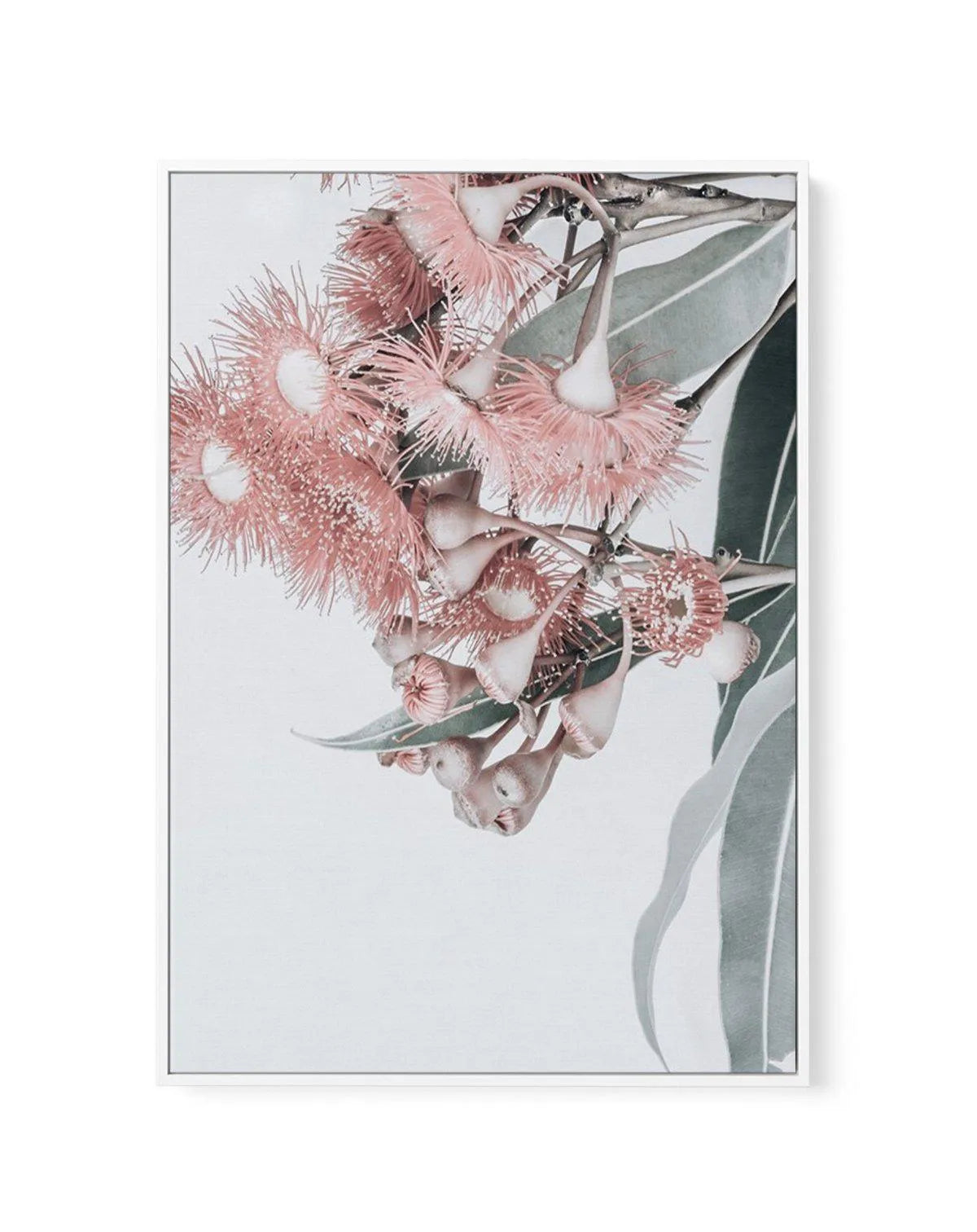 Summer Eucalyptus | Framed Canvas-CANVAS-You can shop wall art online with Olive et Oriel for everything from abstract art to fun kids wall art. Our beautiful modern art prints and canvas art are available from large canvas prints to wall art paintings and our proudly Australian artwork collection offers only the highest quality framed large wall art and canvas art Australia - You can buy fashion photography prints or Hampton print posters and paintings on canvas from Olive et Oriel and have the