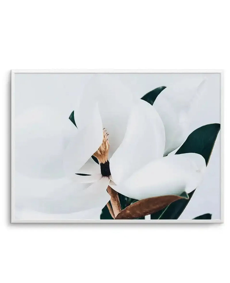 A framed art print featuring a close-up of a magnolia flower with large, creamy white petals and dark green sepals. The bloom is captured in soft, natural light with a pale, overcast sky visible in the background. The petals show delicate texture and subtle gradations, while a brown stem and glossy green leaves are visible at the base. The artwork has a serene, minimalist aesthetic with soft focus and muted tones. The print is displayed in a silver-toned frame with a white border.