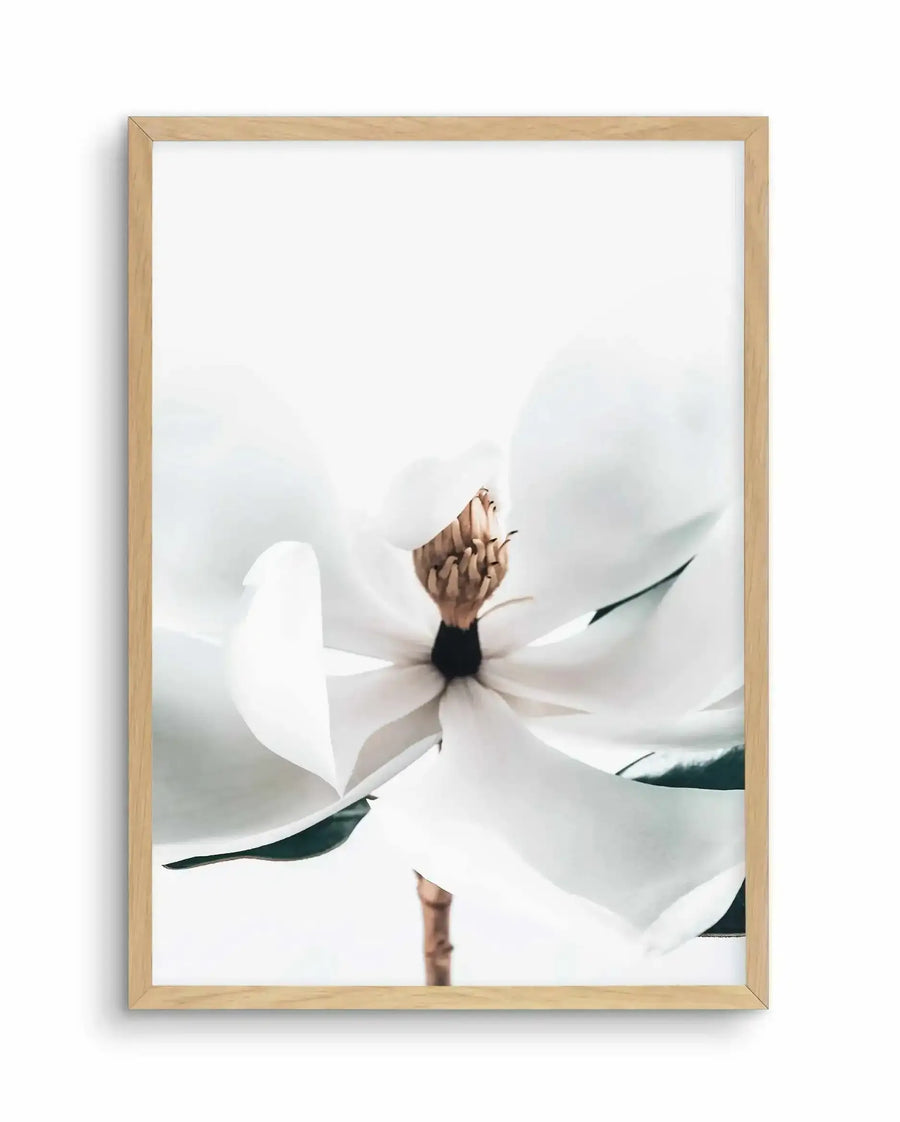 Framed art print featuring a close-up photograph of a white magnolia flower with delicate petals and a brown stamened center against a soft, blurred gray-white background. The flower is shown in soft focus with green sepals visible beneath the petals. The print is mounted in a natural wood frame with a white border.