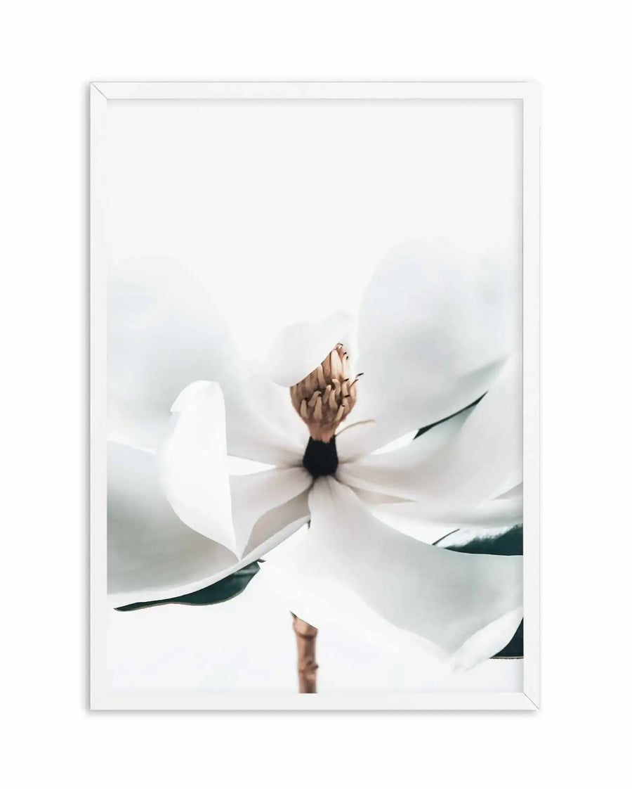 Framed art print of a white magnolia flower with delicate petals and a brown textured center, displayed against a soft, blurred white and grey background. The flower is shown in close-up detail with dark green leaves visible beneath. The print is mounted in a white frame with a white border, creating a minimalist, botanical aesthetic with a calm, ethereal mood.
