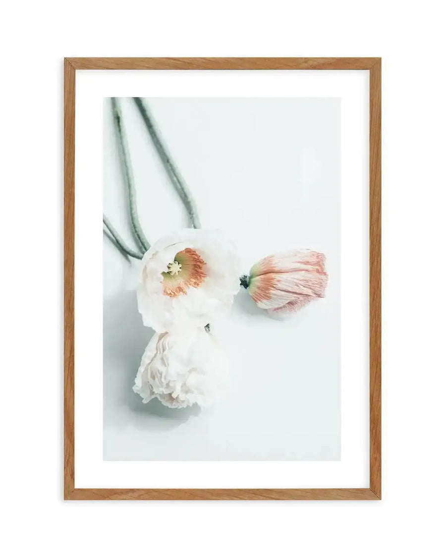 Framed art print featuring two white flowers with coral-pink centers and ruffled petals against a soft white background, with green stems visible at the top. The delicate watercolor-style illustration is mounted in a natural wood frame with white border, creating a minimalist, botanical composition with soft shadows and gentle color gradations.