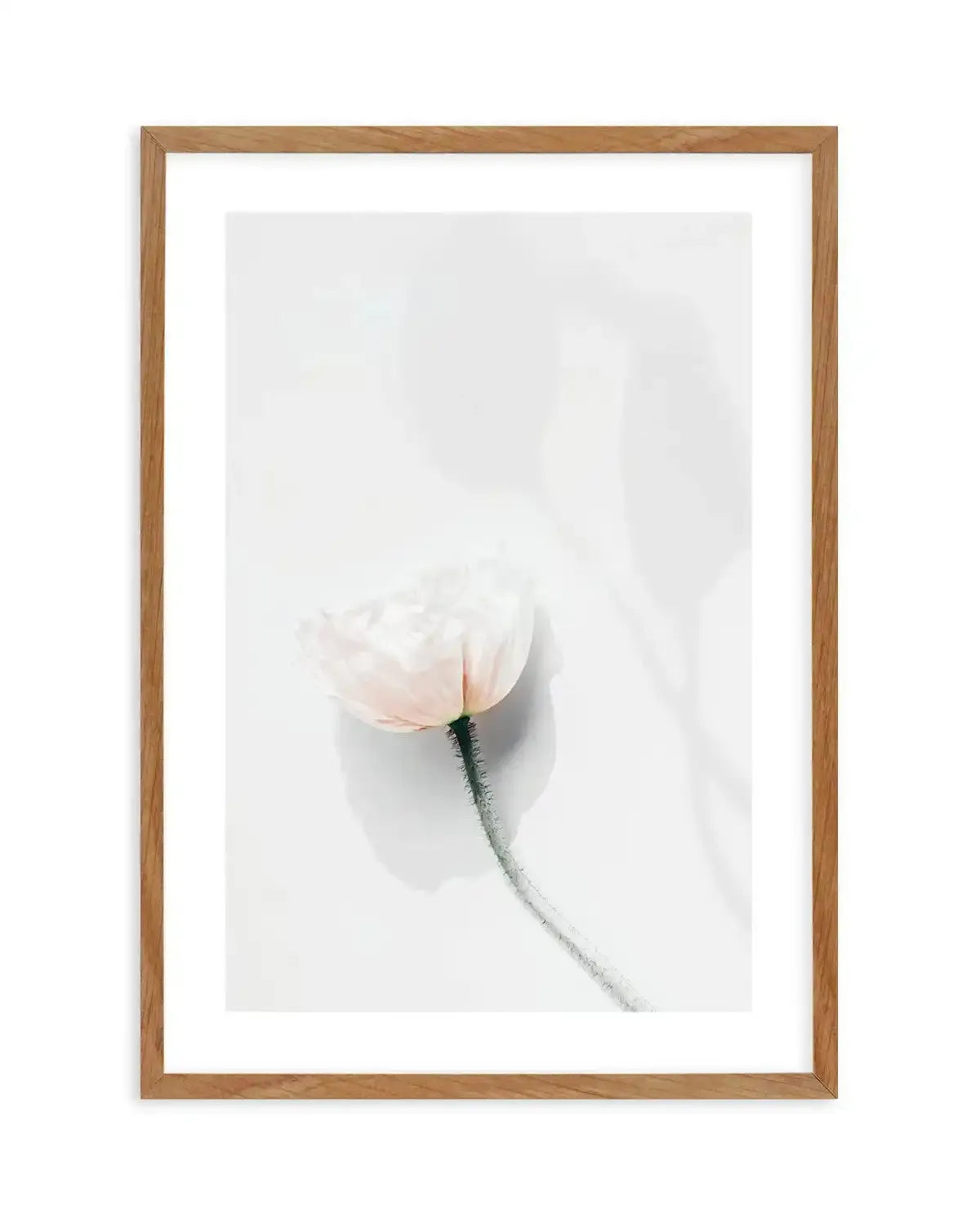 Summer Poppies IV Art Print-PRINT-Olive et Oriel-Olive et Oriel-50x70 cm | 19.6" x 27.5"-Walnut-With White Border-Buy-Australian-Art-Prints-Online-with-Olive-et-Oriel-Your-Artwork-Specialists-Austrailia-Decorate-With-Coastal-Photo-Wall-Art-Prints-From-Our-Beach-House-Artwork-Collection-Fine-Poster-and-Framed-Artwork