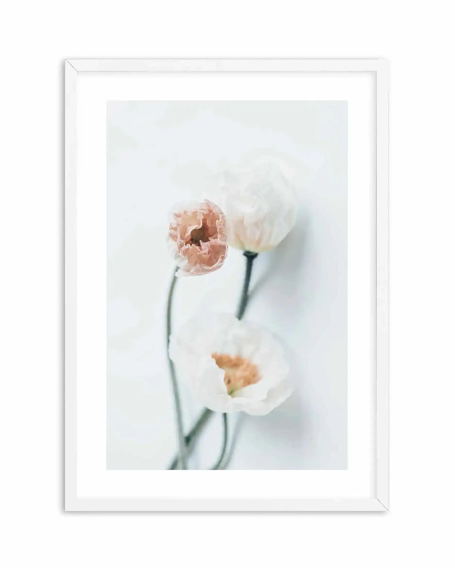 Summer Poppies I | PT Art Print-PRINT-Olive et Oriel-Olive et Oriel-A5 | 5.8" x 8.3" | 14.8 x 21cm-White-With White Border-Buy-Australian-Art-Prints-Online-with-Olive-et-Oriel-Your-Artwork-Specialists-Austrailia-Decorate-With-Coastal-Photo-Wall-Art-Prints-From-Our-Beach-House-Artwork-Collection-Fine-Poster-and-Framed-Artwork
