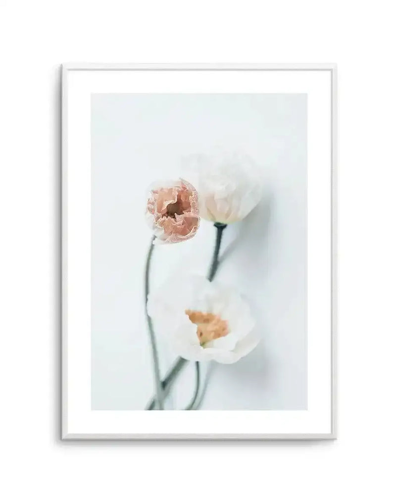 Framed art print featuring three delicate carnation flowers with ruffled petals in soft peachy-pink and cream tones against a pale, misty white background. The botanical photograph has a soft-focus, dreamy quality with subtle green stems visible. The artwork is presented in a light silver-gray frame with a white border.