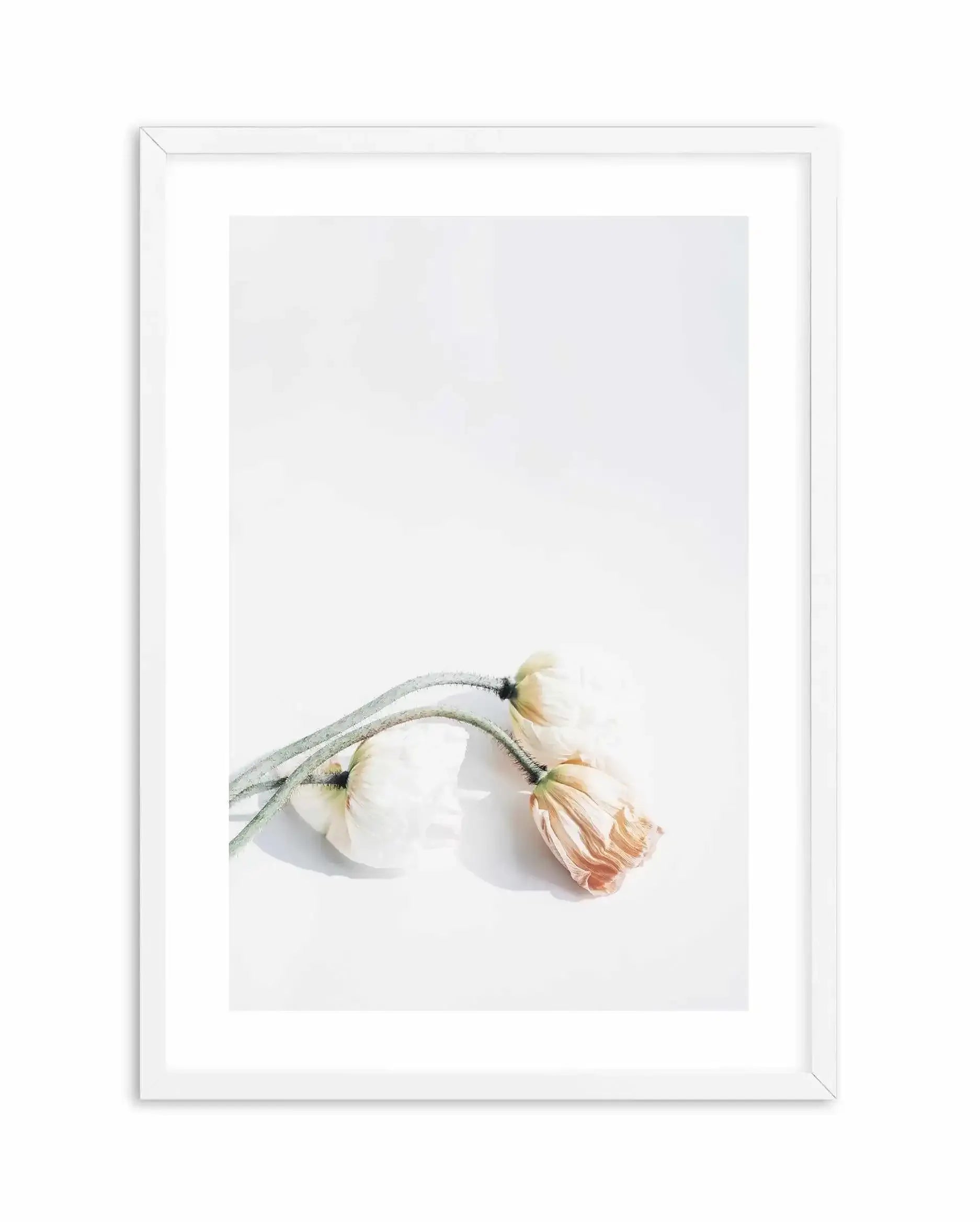 Summer Poppies II | PT Art Print-PRINT-Olive et Oriel-Olive et Oriel-A5 | 5.8" x 8.3" | 14.8 x 21cm-White-With White Border-Buy-Australian-Art-Prints-Online-with-Olive-et-Oriel-Your-Artwork-Specialists-Austrailia-Decorate-With-Coastal-Photo-Wall-Art-Prints-From-Our-Beach-House-Artwork-Collection-Fine-Poster-and-Framed-Artwork