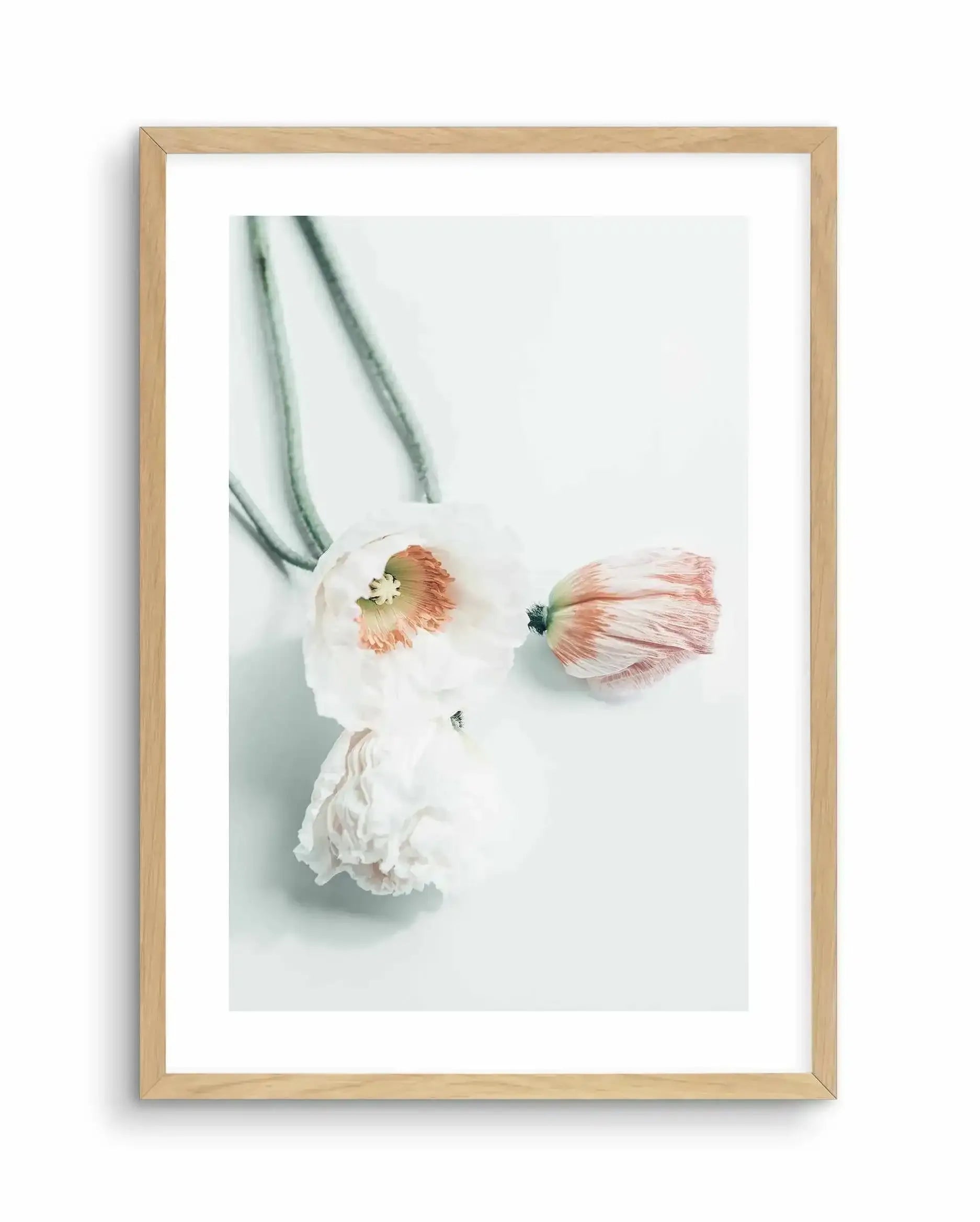 Summer Poppies III Art Print-PRINT-Olive et Oriel-Olive et Oriel-A5 | 5.8" x 8.3" | 14.8 x 21cm-Oak-With White Border-Buy-Australian-Art-Prints-Online-with-Olive-et-Oriel-Your-Artwork-Specialists-Austrailia-Decorate-With-Coastal-Photo-Wall-Art-Prints-From-Our-Beach-House-Artwork-Collection-Fine-Poster-and-Framed-Artwork