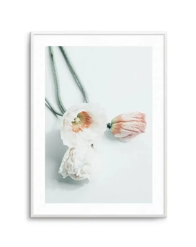 Framed art print featuring two delicate white daffodil flowers with coral-pink centers and ruffled petals against a soft pale blue-gray background. Green stems extend upward. The botanical composition has a soft, watercolor-like quality with subtle shadows. Silver-gray frame with white border.