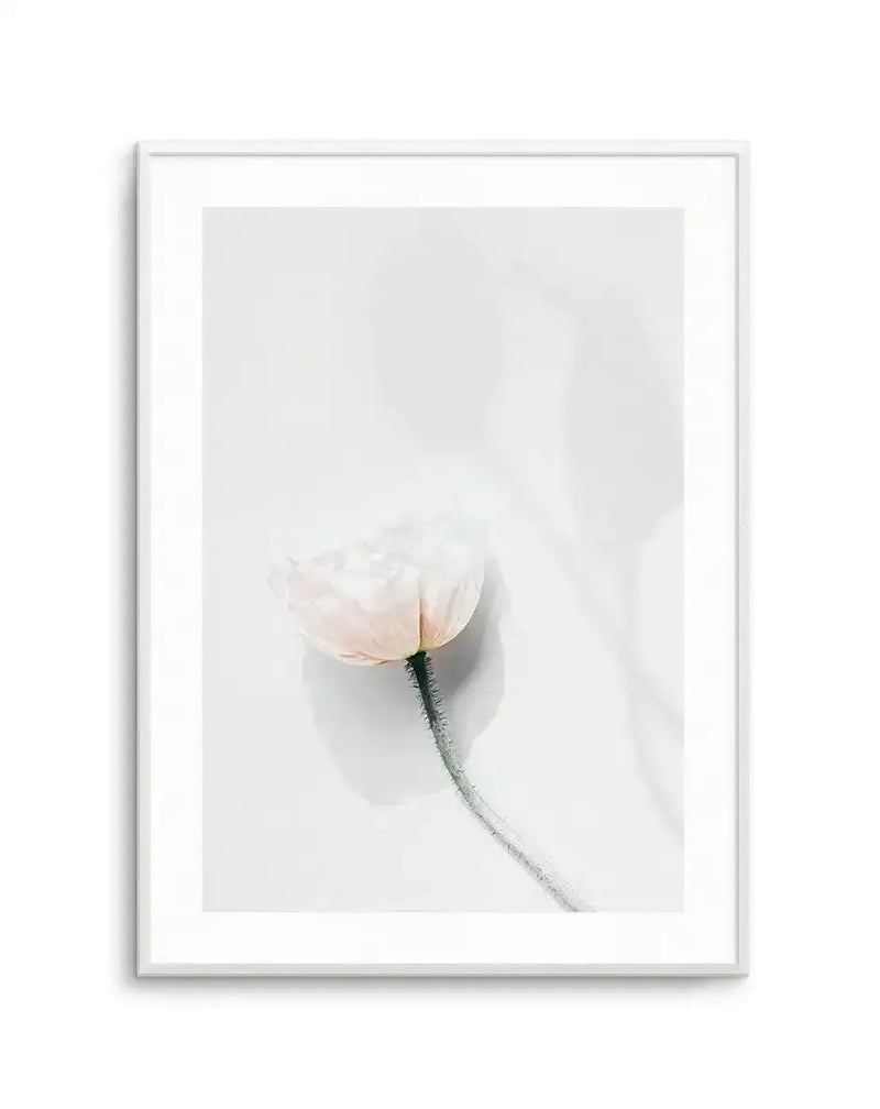 Framed art print featuring a single white poppy with soft peachy-pink undertones, delicately rendered in a watercolor style. The flower bloom is positioned in the lower center of the composition against a pale, misty gray background. A slender green stem extends downward from the bloom. The artwork is displayed in a silver-toned frame with a white border, creating a minimalist, ethereal aesthetic.