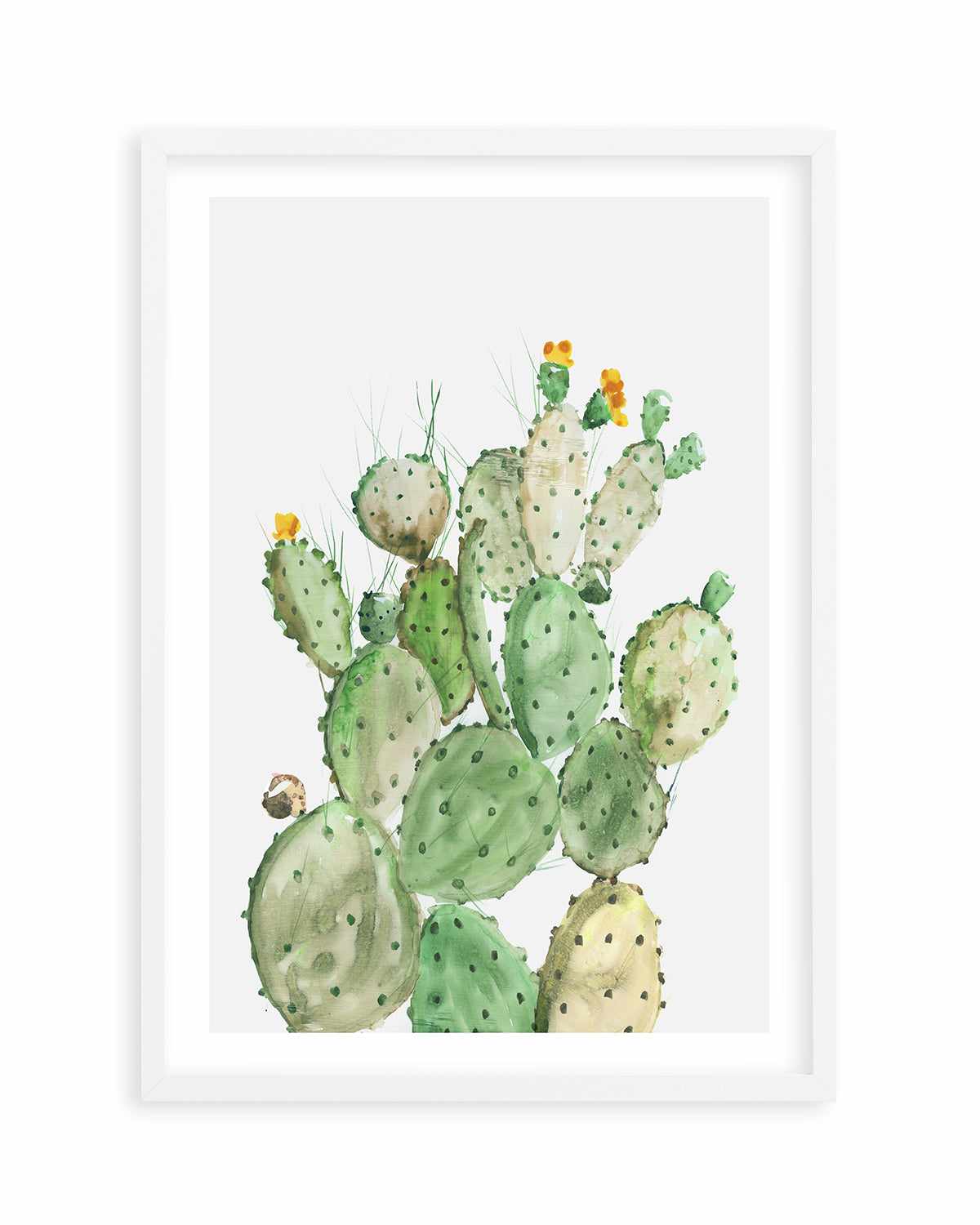 Sunny Cactus Art Print