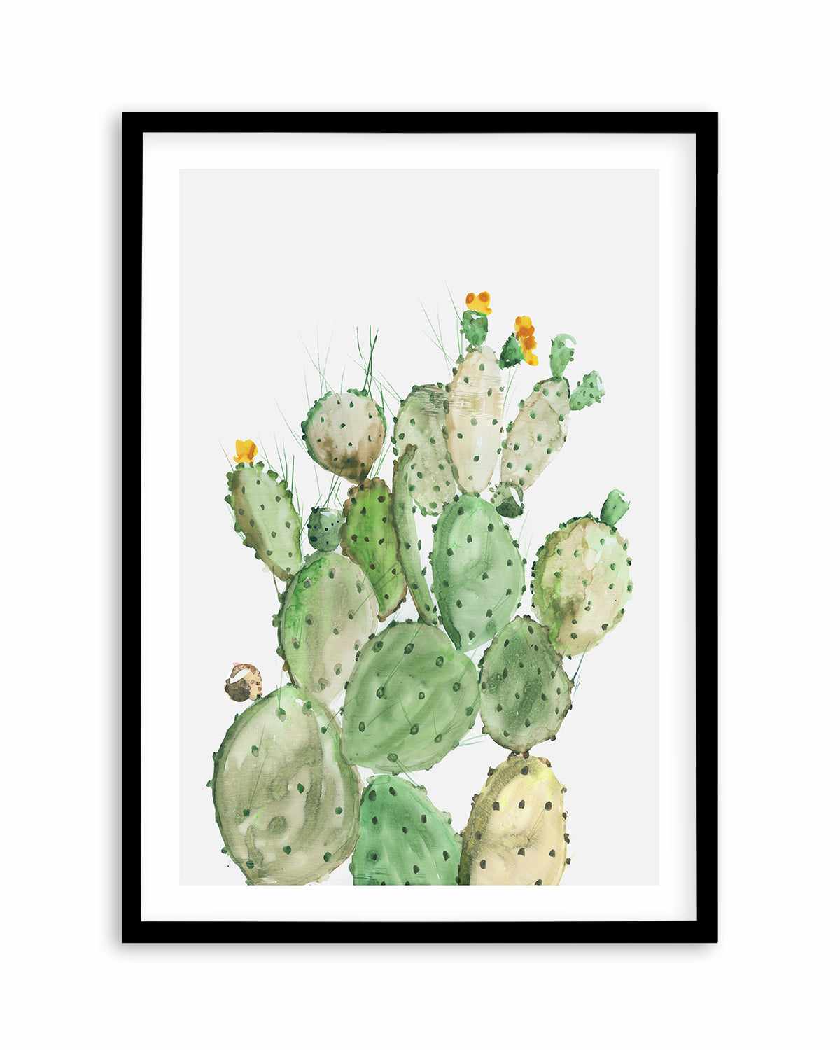 Sunny Cactus Art Print