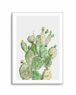 Sunny Cactus Art Print