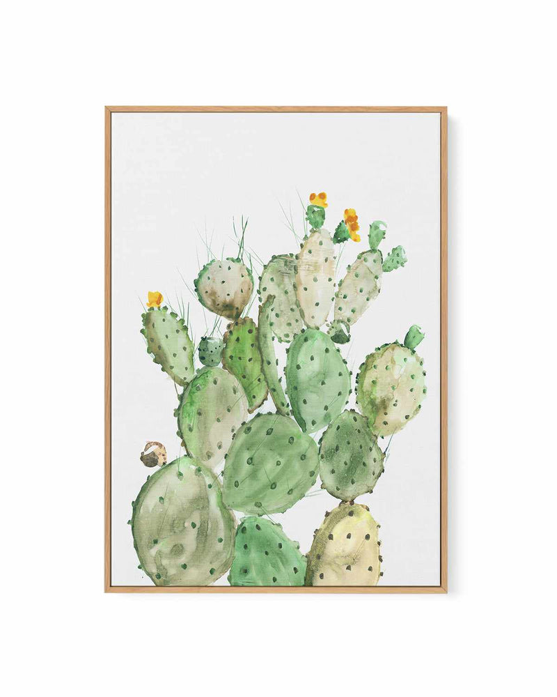Sunny Cactus | Framed Canvas Art Print