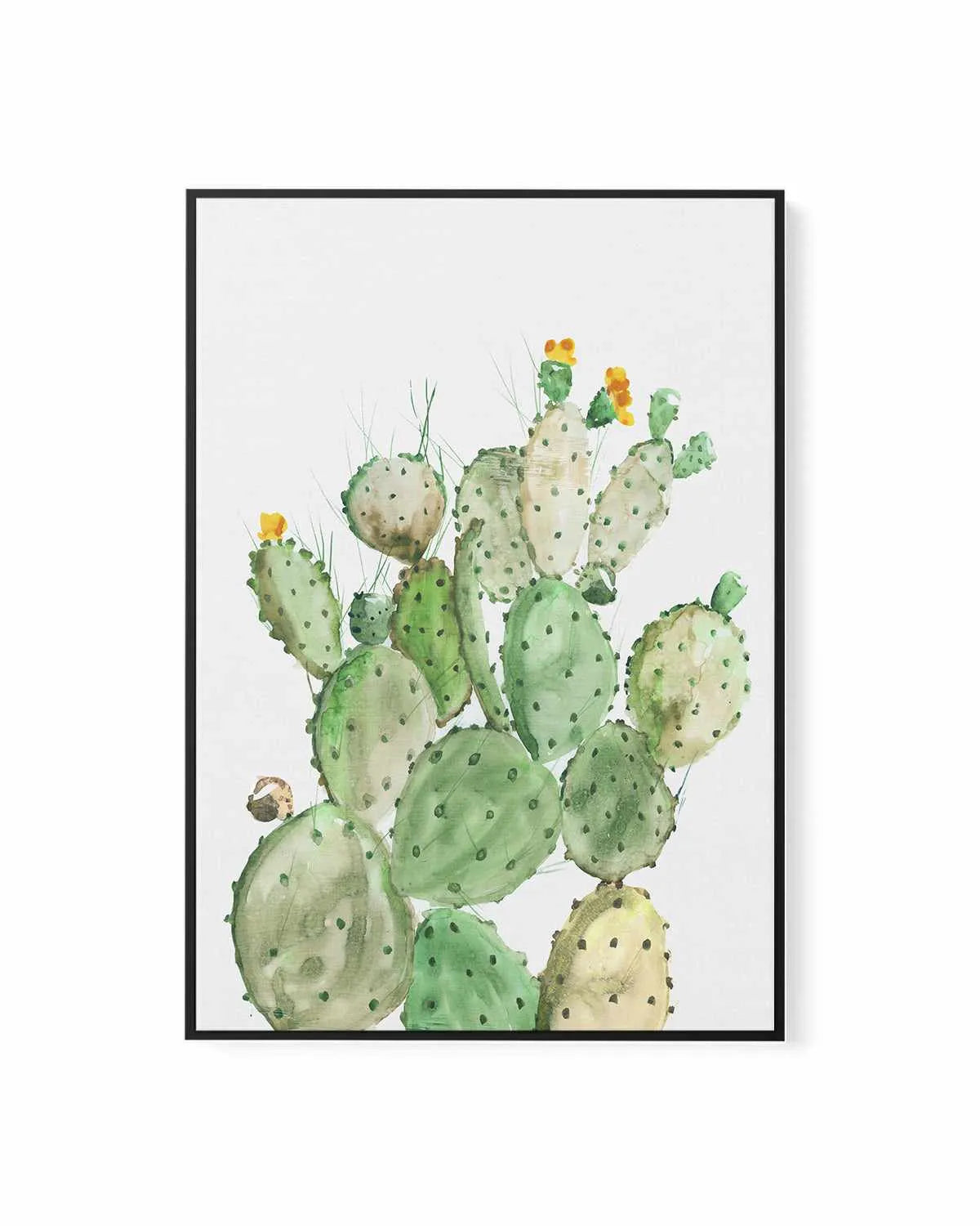 Sunny Cactus | Framed Canvas Art Print from Olive et Oriel where you can shop wallpaper and artworks online