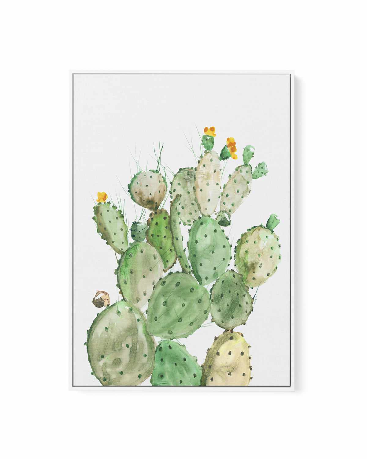 Sunny Cactus | Framed Canvas Art Print