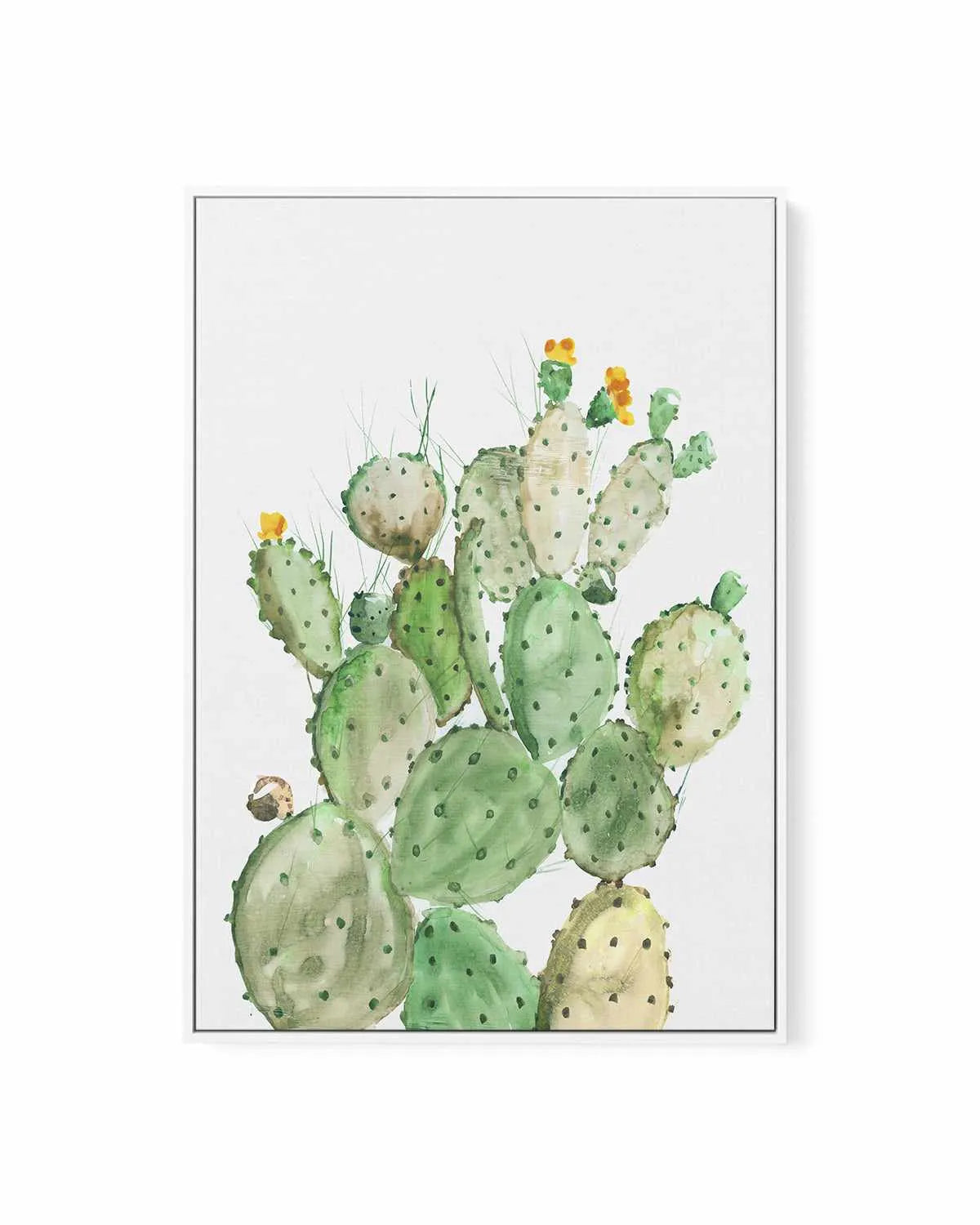 Sunny Cactus | Framed Canvas Art Print from Olive et Oriel where you can shop wallpaper and artworks online