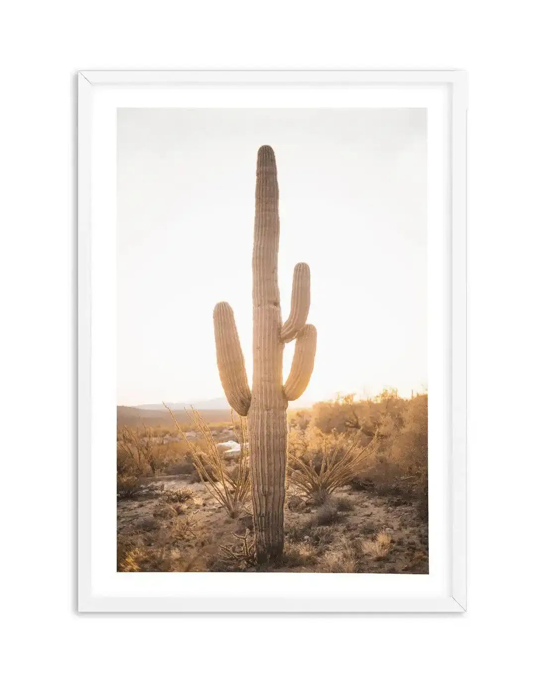 Sunset Cactus Art Print-PRINT-Olive et Oriel-Olive et Oriel-A5 | 5.8" x 8.3" | 14.8 x 21cm-White-With White Border-Buy-Australian-Art-Prints-Online-with-Olive-et-Oriel-Your-Artwork-Specialists-Austrailia-Decorate-With-Coastal-Photo-Wall-Art-Prints-From-Our-Beach-House-Artwork-Collection-Fine-Poster-and-Framed-Artwork